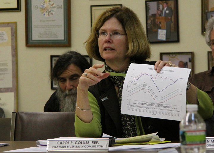 Carol Collier, executive director of the Delaware River Basin Commission, illustrates her point about approaching drought conditions during a recent meeting of the Upper Delaware Council.
