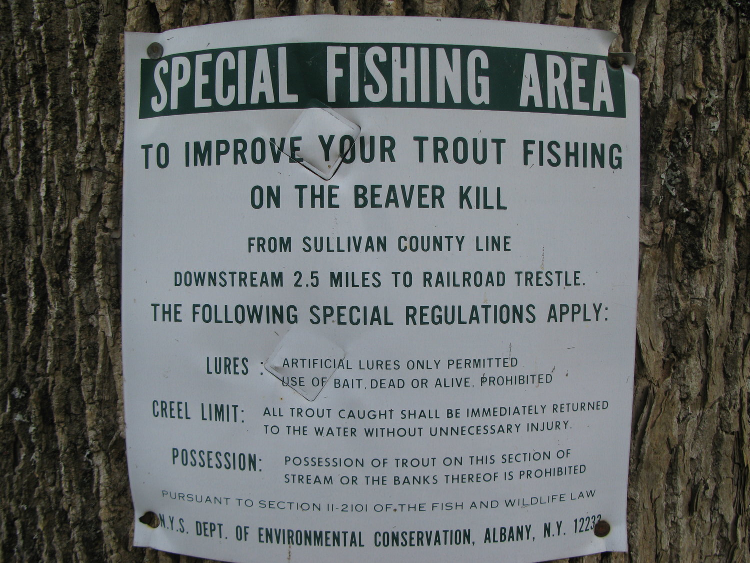 A  Beaverkill special fishing area sign.