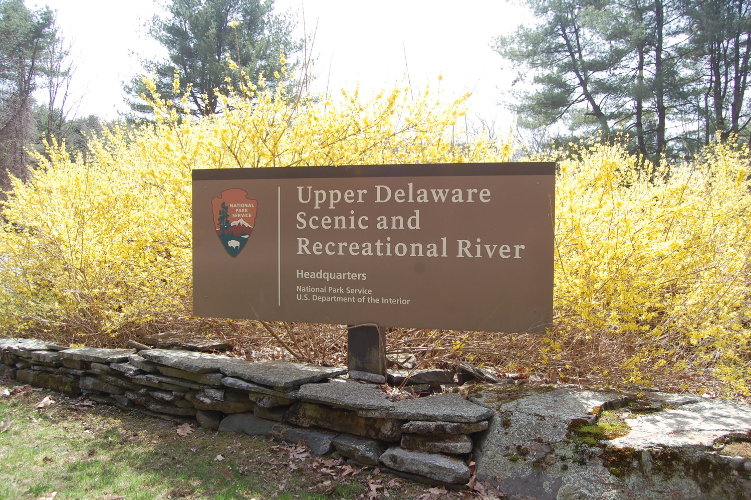 Salvatore’s new office at Upper Delaware headquarters in Beach Lake, PA features a three-window view of the Delaware River in all its spring glory.