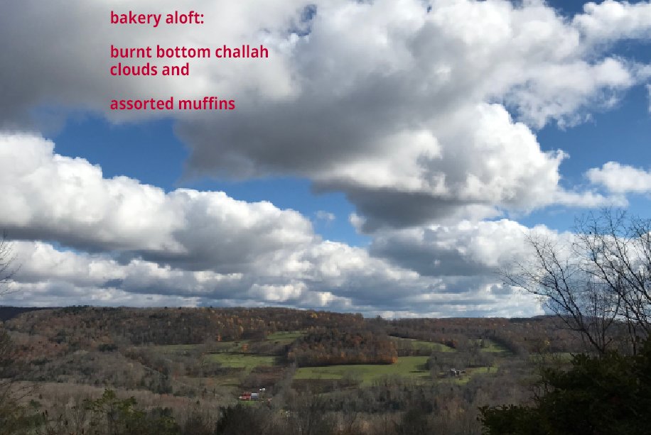 The hillside across from Baylin’s home has inspired many poems, over the past year including the “bakery aloft” haiku.