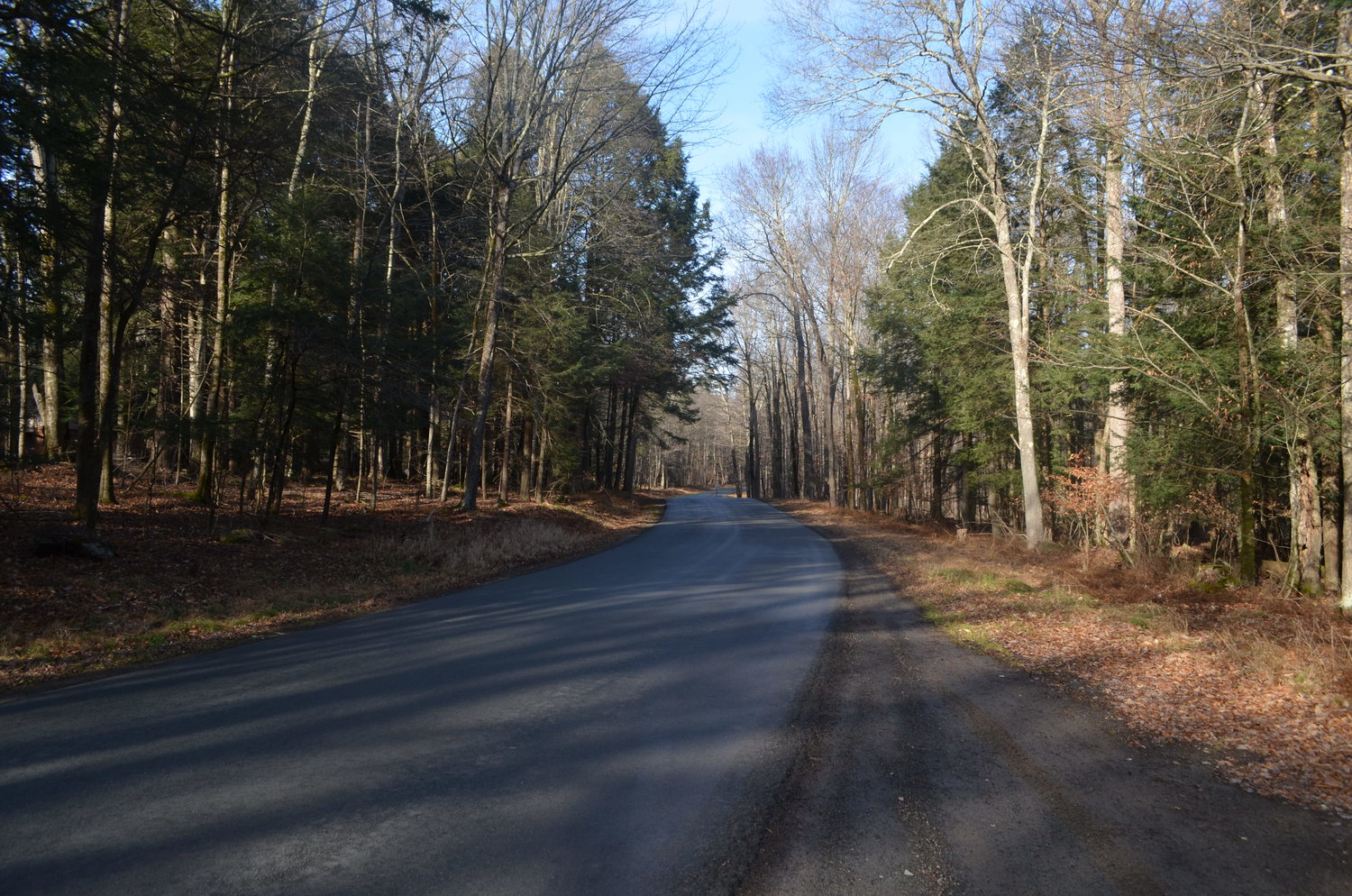 A view of Pine Grove Road, which leads to the proposed entrance of the Beside subdivision.
