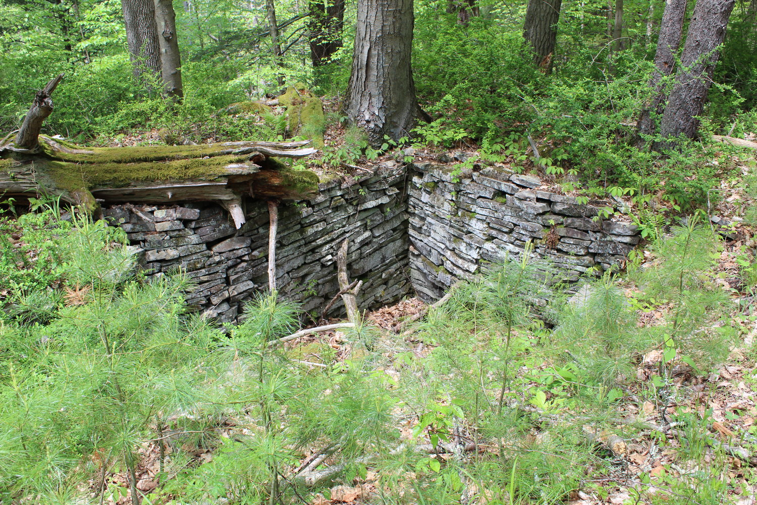 This small stone-lined space might have been a root cellar.